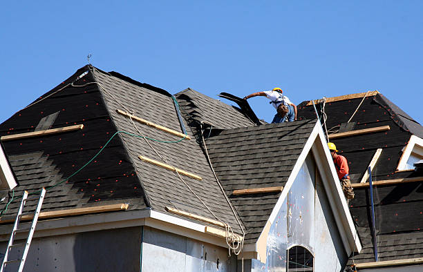 Best Roof Gutter Cleaning  in North Braddock, PA