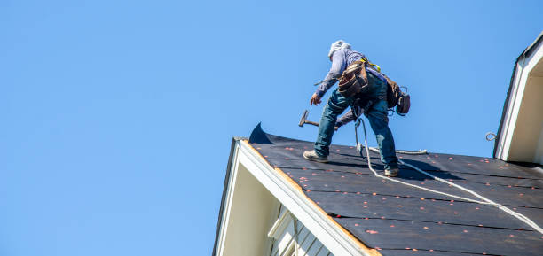 Best Roof Inspection Near Me  in North Braddock, PA